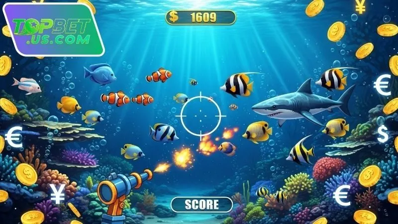 Các yếu tố ảnh hưởng đến điểm bắn cá